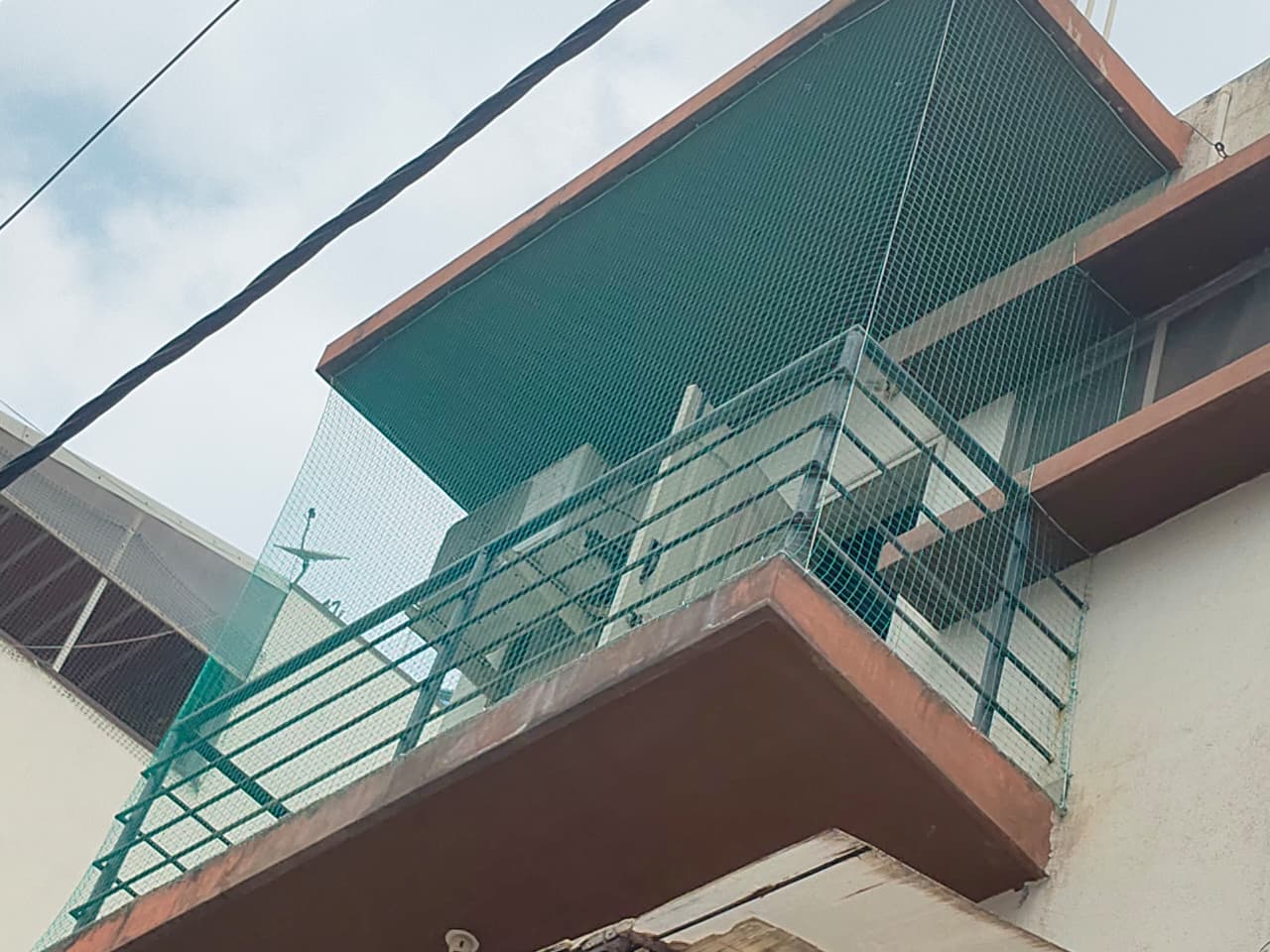 Bird and pigeon safety nets installation in Bengaluru
