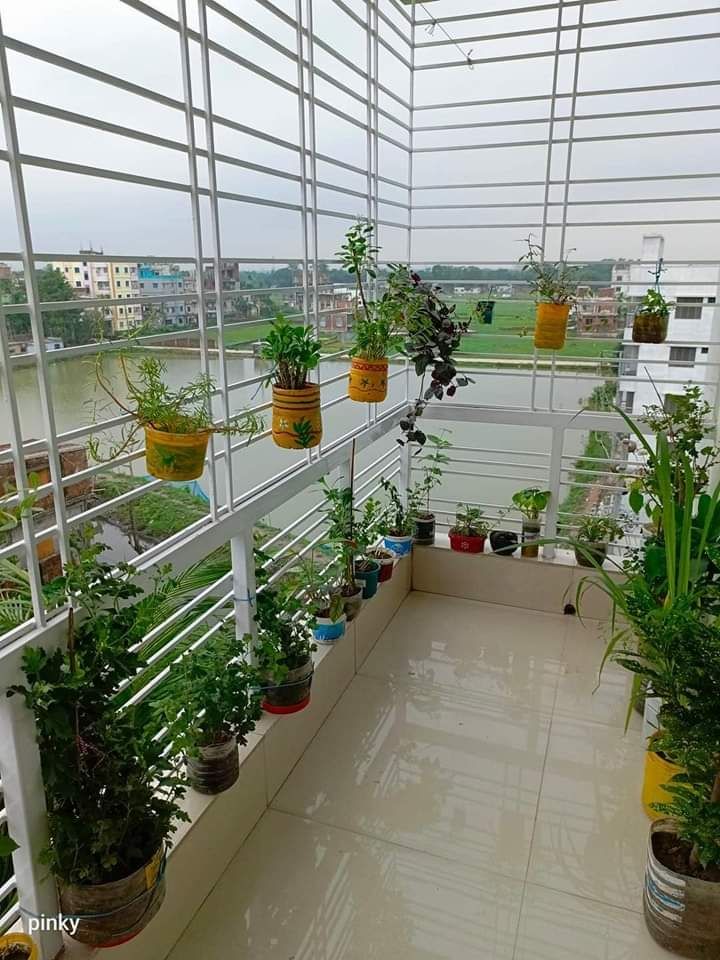 Contact Simhadri Safety Nets for balcony safety nets installation in Bengaluru