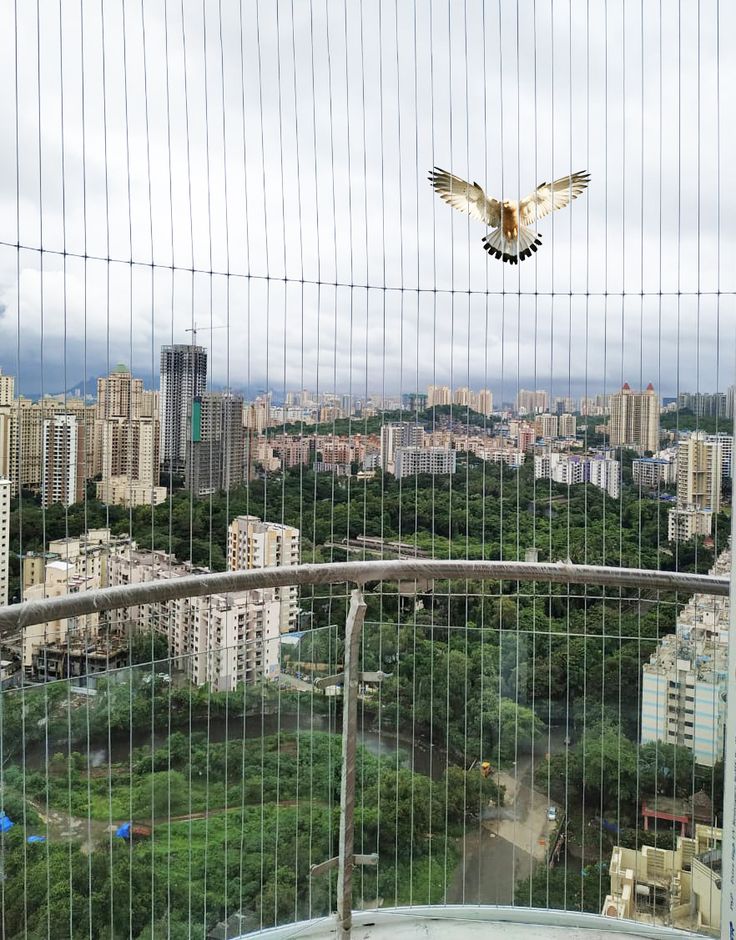 Invisible Grill Installation in Bangalore for balconies, windows and apartments