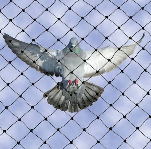 Pigeon Safety Nets and Anti Bird Nets Installation in Bengaluru