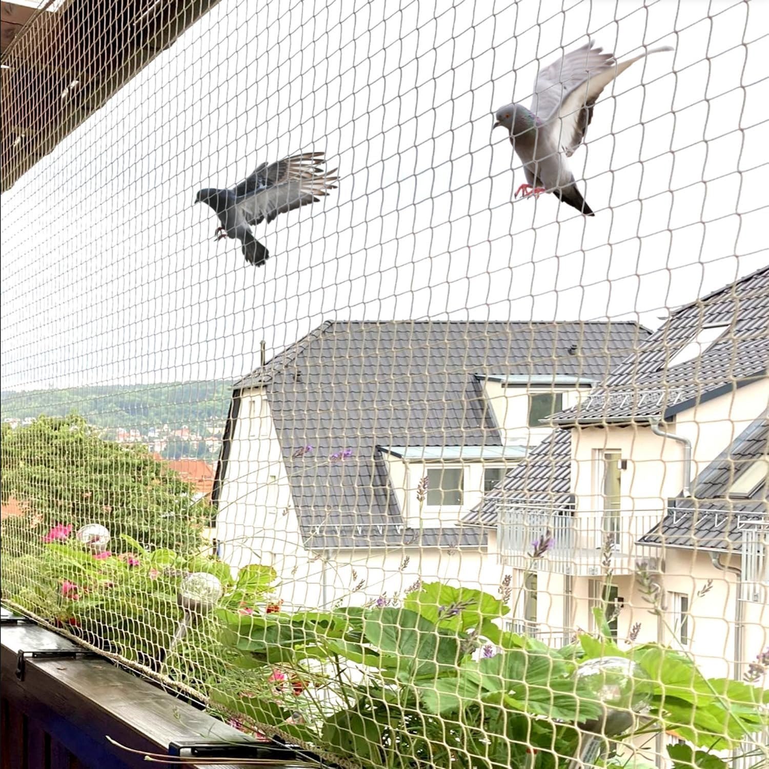 Pigeon safety net installation in Bangalore for balconies and windows