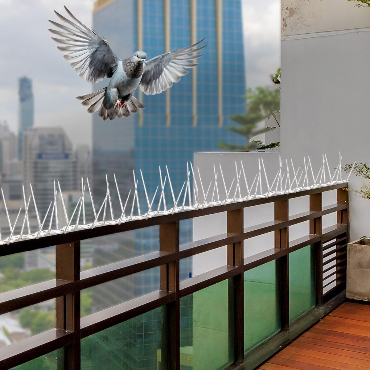 Pigeon safety nets in Bangalore for balconies, windows and terraces