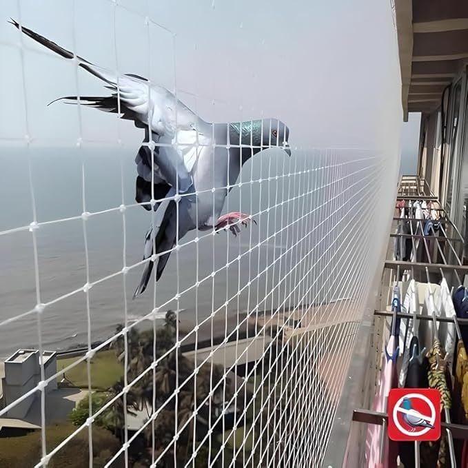 Pigeon safety nets in Bangalore for balconies, windows and terraces
