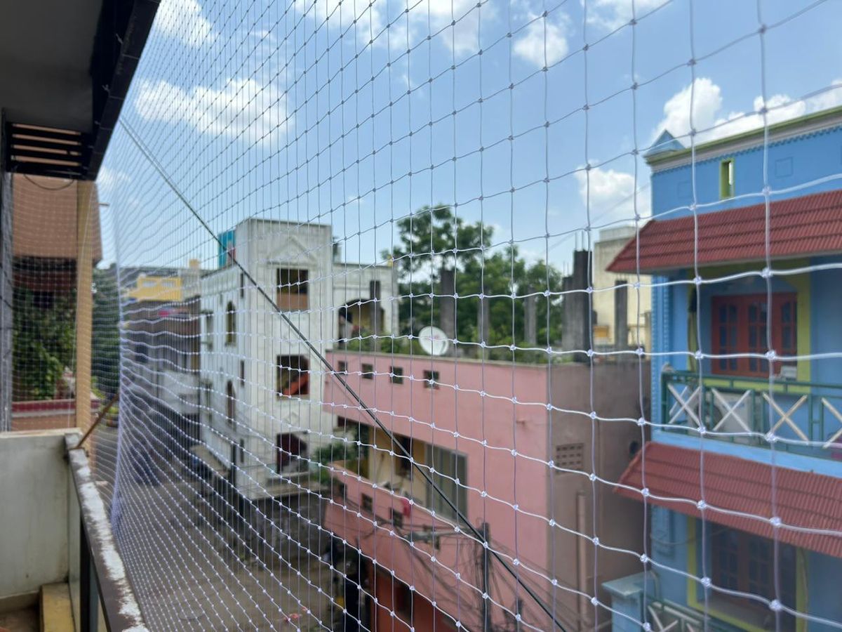 Pigeon safety nets in Bangalore for balconies, windows and terraces