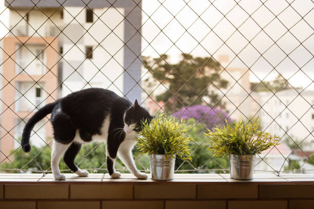 Terrace safety net installation in Bangalore for rooftops and apartments